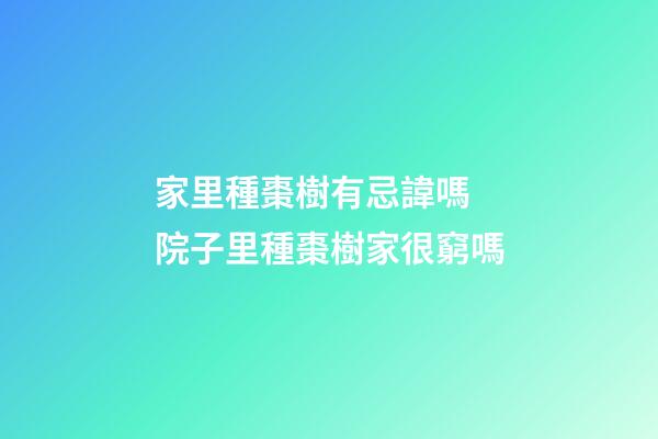 家里種棗樹有忌諱嗎 院子里種棗樹家很窮嗎